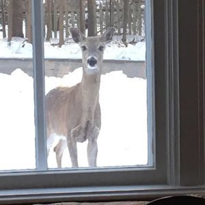 Meet your Posher, Lee